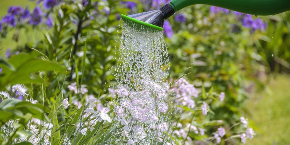 Landscape Maintenance