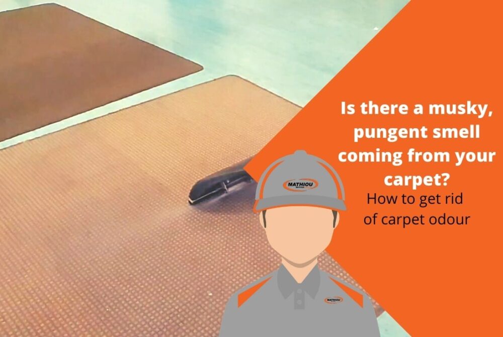 How to get rid of carpet odour