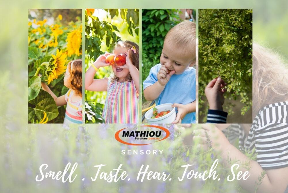 Developing sensory through play