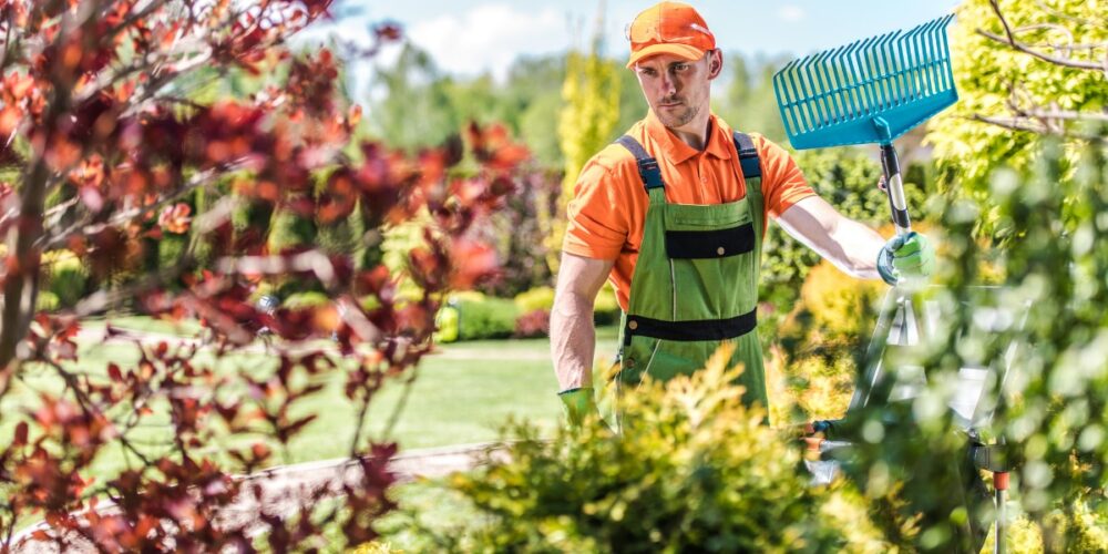 Garden Maintenance Tasks