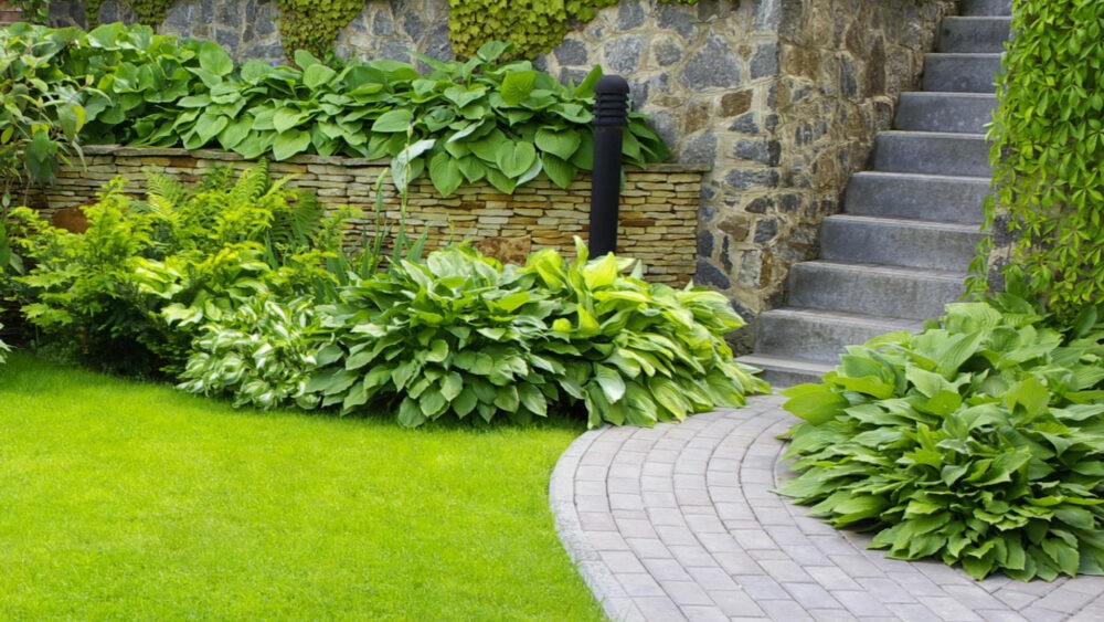 Landscape Maintenance Needs