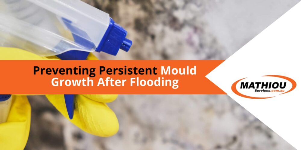 Preventing Mould Growth After Flooding