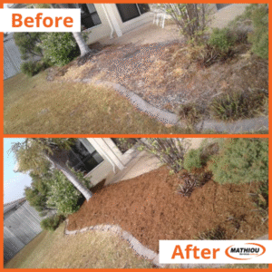 garden bed before and after