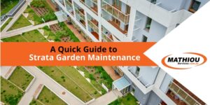 Read this blog for a quick guide to strata garden maintenance.