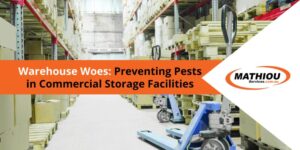 Warehouse Woes: Preventing Pests in Commercial Storage Facilities - A Guide from Mathiou Services