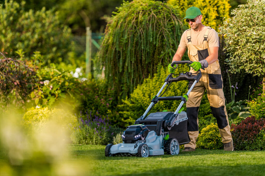 professional gardener mowing the lawn