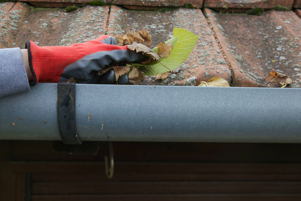 gutter cleaning