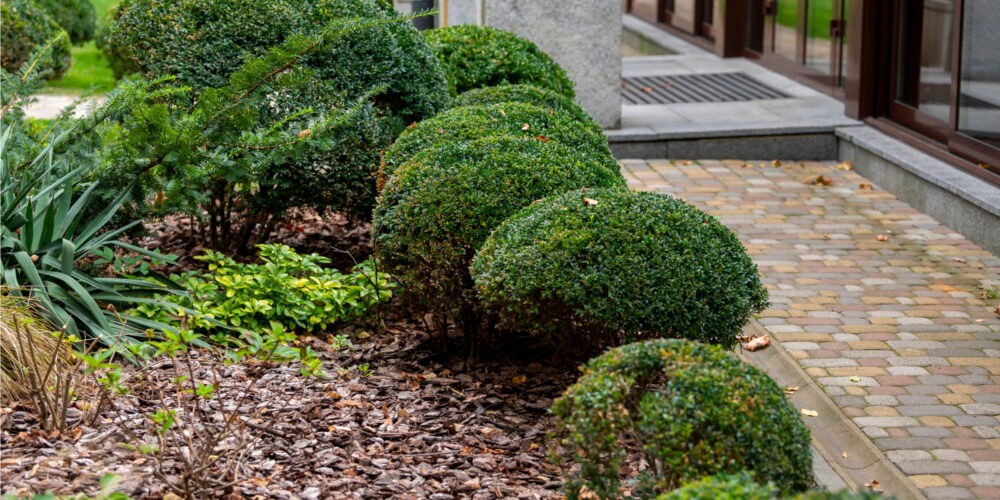 how to garden with mulch