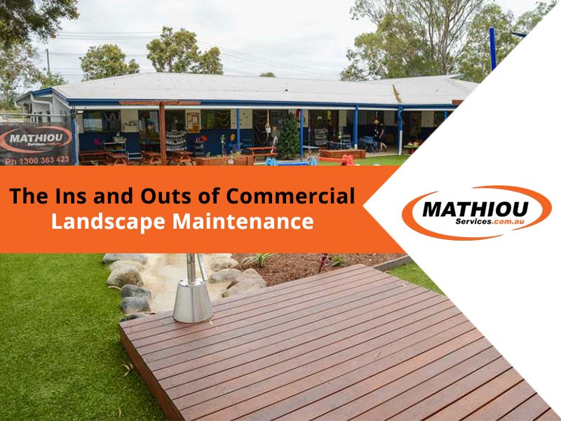 Commercial Landscape Maintenance