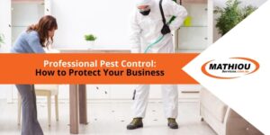 Professional Pest Control: How to Protect Your Business